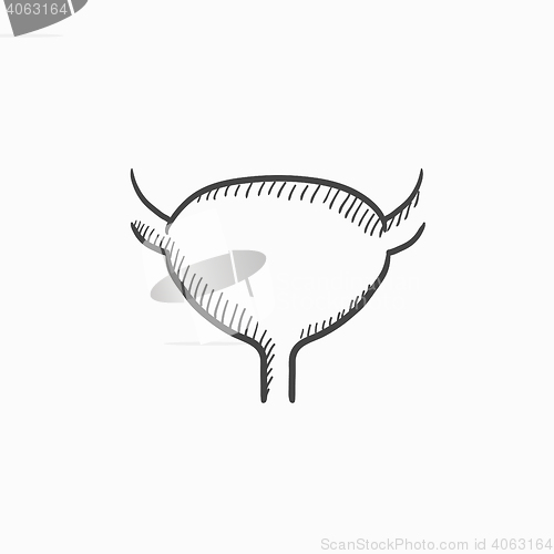 Image of Urinary bladder sketch icon.