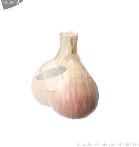 Image of garlic isolated on white