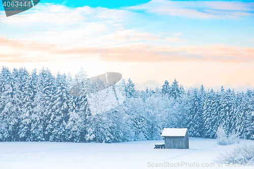 Image of Early morning winter rural landscape with snow-covered forest