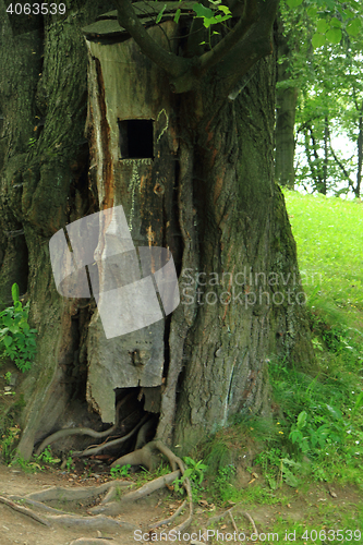 Image of bird house in the tree