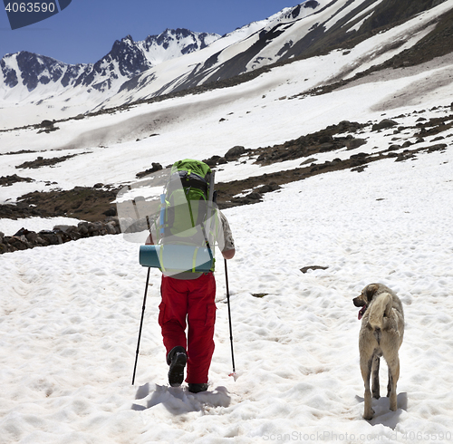 Image of Hiker with dog in snowy mountains at spring