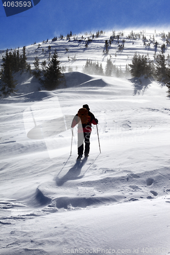 Image of Hiker in winter mountains at sunny windy day