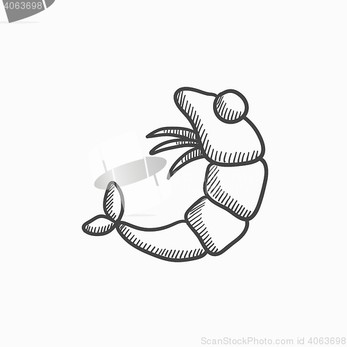 Image of Shrimp sketch icon.