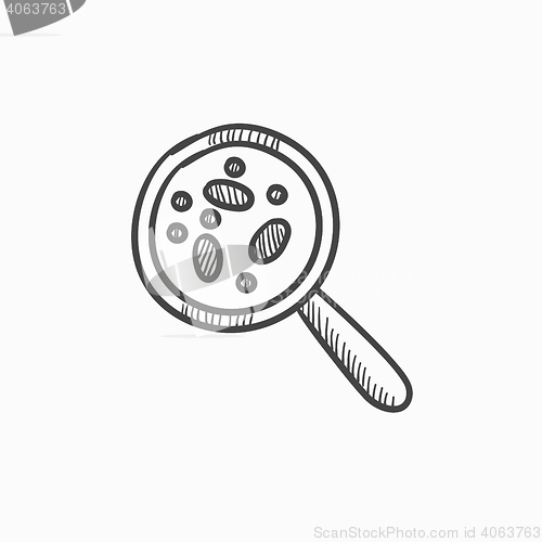 Image of Microorganisms under magnifier sketch icon.