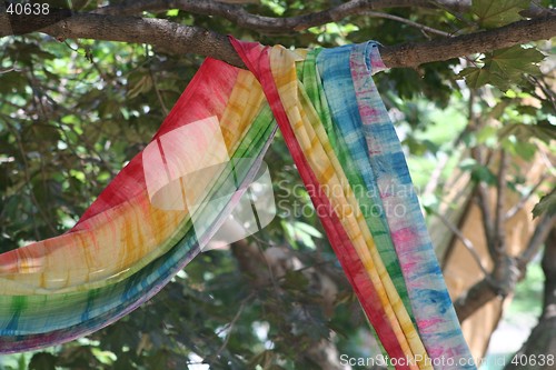 Image of Rainbow Scarf