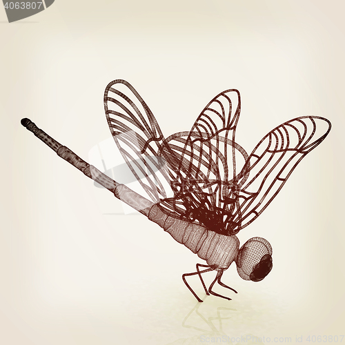 Image of Dragonfly. 3D illustration. Vintage style.