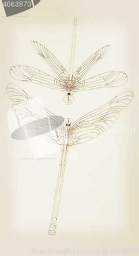 Image of Dragonfly. 3D illustration. Vintage style.