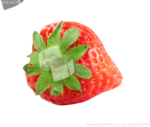 Image of Red berry strawberry isolated