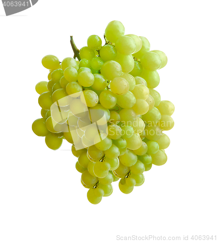 Image of white grape 