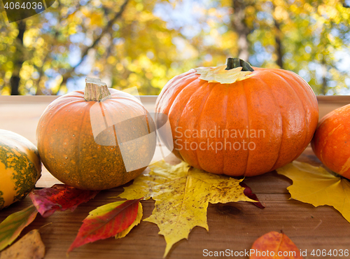 Image of close up of pumpkins on wooden table outdoors