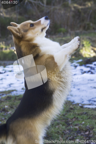 Image of please
