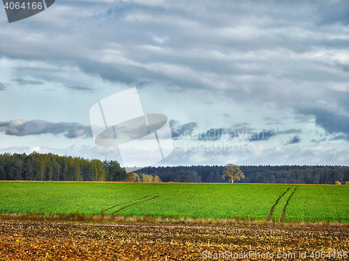 Image of landscape with fields and clouds