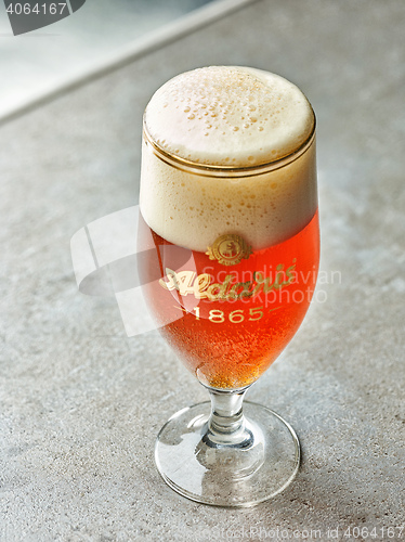 Image of glass of beer