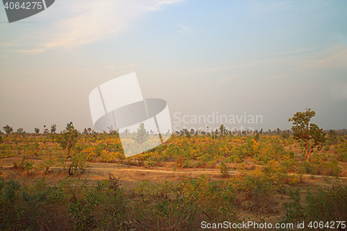 Image of Area around Nagpur, India. Dry foothills with orchards (farmers gardens)