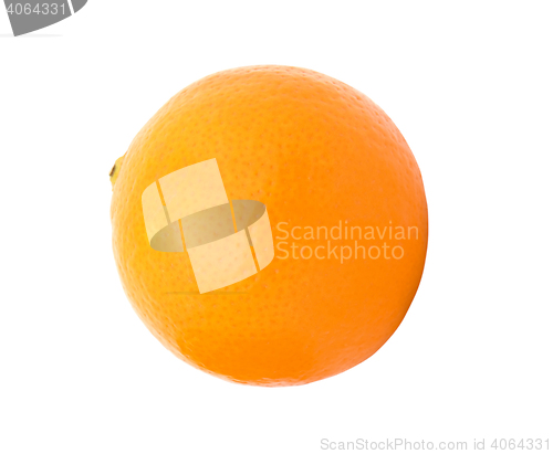 Image of Ripe orange isolated 