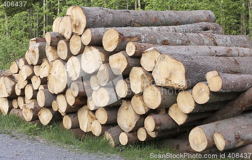Image of Timber