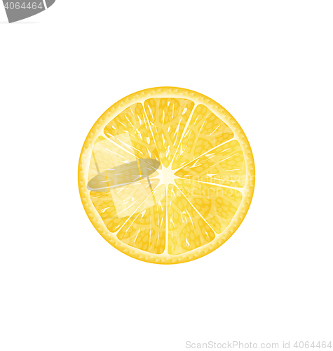 Image of Lemon Slice Isolated