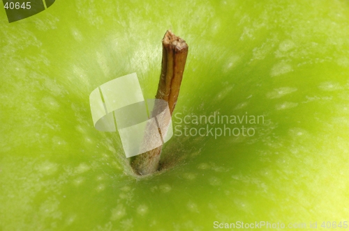 Image of Apple