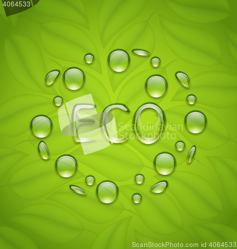 Image of Eco friendly background with water drops on fresh green leaves t