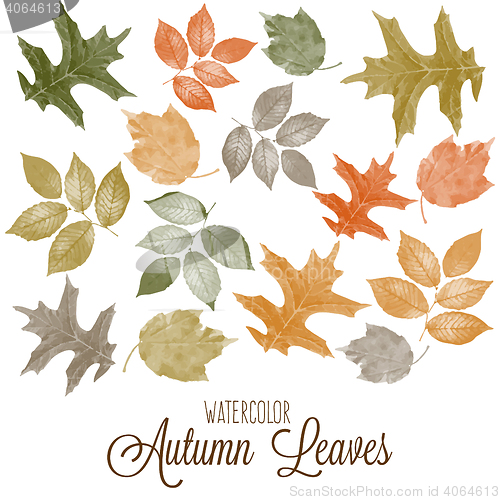 Image of Set of watercolor colorful autumn leaves