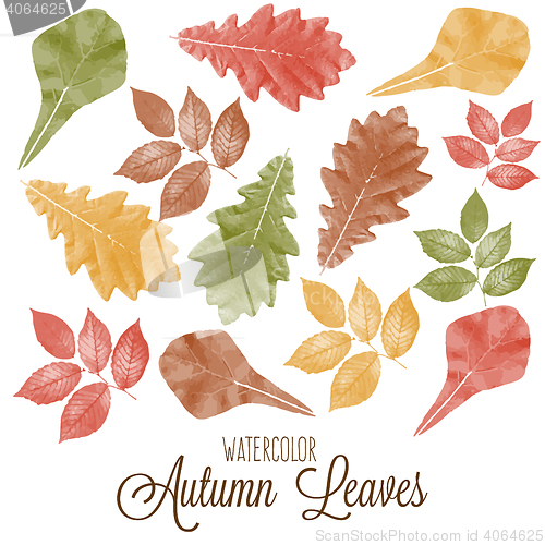 Image of Set of watercolor colorful autumn leaves