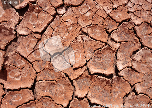 Image of dry mud background texture