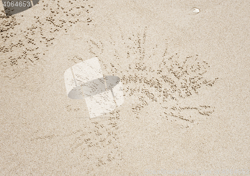 Image of crab hole background texture