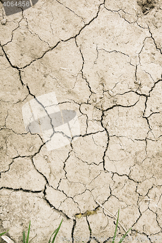 Image of dry mud desert background texture