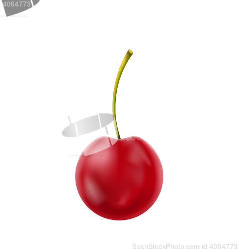 Image of Single Realistic Cherry Isolated on White Background