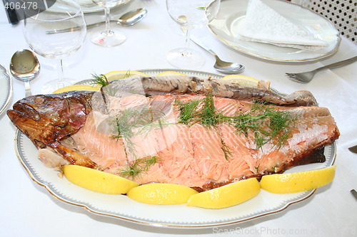 Image of Salmon