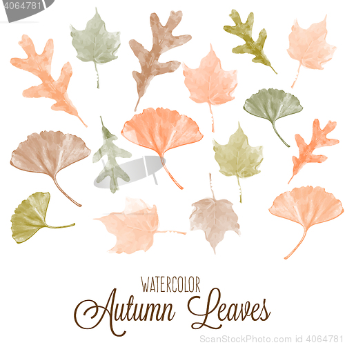 Image of Set of watercolor colorful autumn leaves