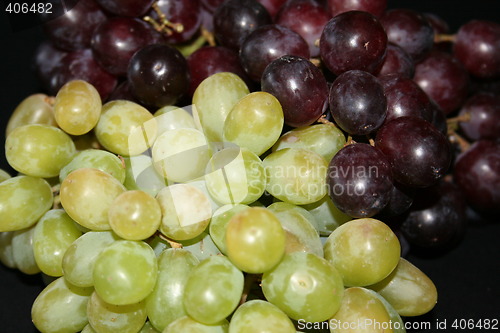 Image of Grapes