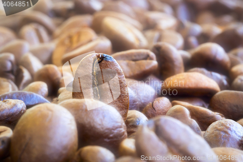 Image of Natural coffee beans