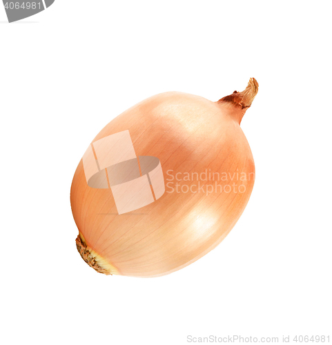 Image of Ripe onion