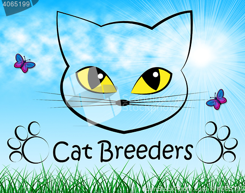 Image of Cat Breeders Shows Breeds Pet And Bred