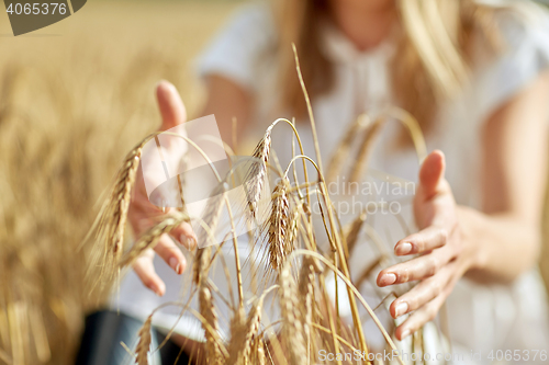 Image of close up of woman hands in cereal field