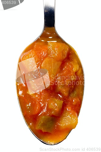 Image of Spoonful of salsa sauce