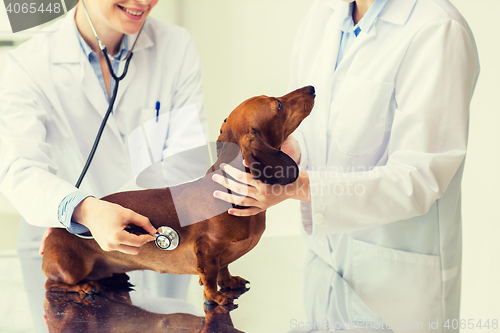 Image of close up of vet with stethoscope and dog at clinic