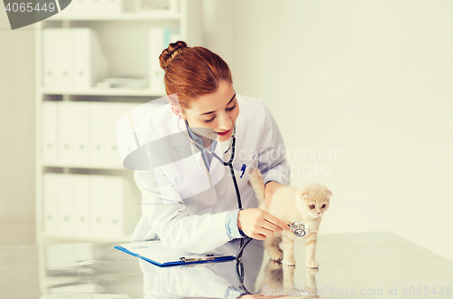 Image of happy veterinarian with kitten at vet clinic