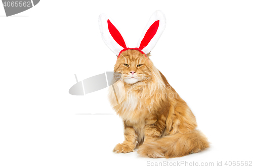 Image of Big ginger cat in christmas rabbit ears head rim