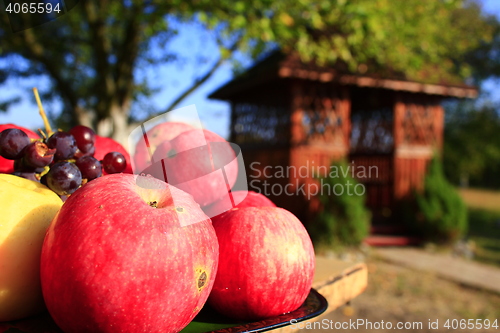 Image of red apples on the arbor background