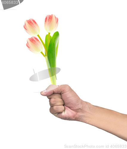 Image of Hand holding flowers isolated on white