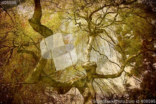 Image of Postcard from Denmark (Series)