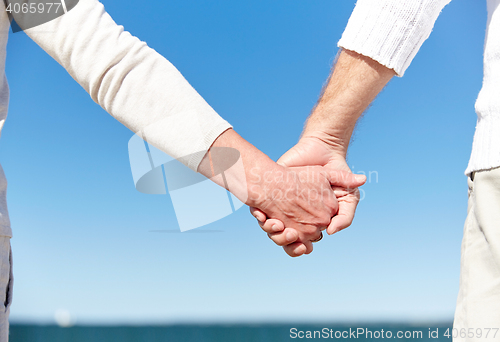 Image of close up of senior couple holding hands on beach