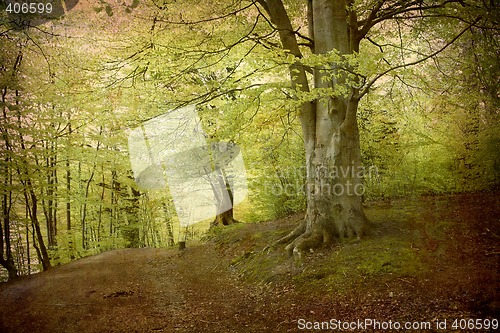 Image of Postcard from Denmark (Series)