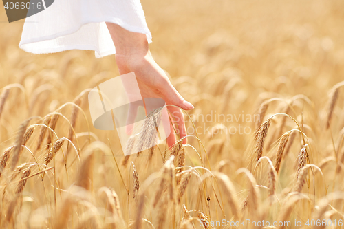 Image of close up of woman hand in cereal field