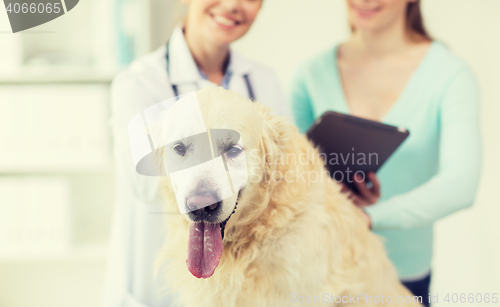 Image of close up of vet with tablet pc and dog at clinic