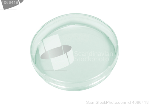 Image of  Petri dish 