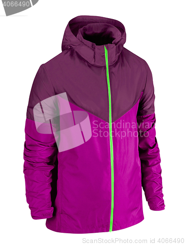 Image of violet jacket 