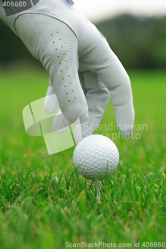 Image of Detail of golf ball and gloves